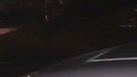 VID 20260714 WA0002