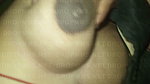 myl 18