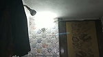 bthclip