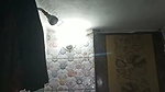 bthclip