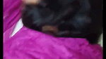 Beautiful hot bhabhi fuck hard in Doggy style