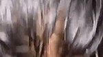 Beautiful Mumbai girl giving deeply Blowjob