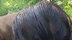Tamil aunty show her boobs  give Blowjob in jungle