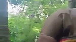 Tamil aunty show her boobs  give Blowjob in jungle