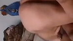 Bhabhi give Handjob  fuck