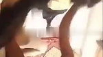 Sexy rajasthani bhabhi fucking from back side