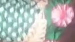 Chut of bhabhi during fuck MMS