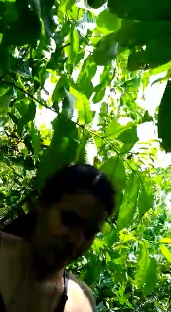 Frame 6