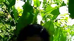 Cute girl with lover in Jungle mms