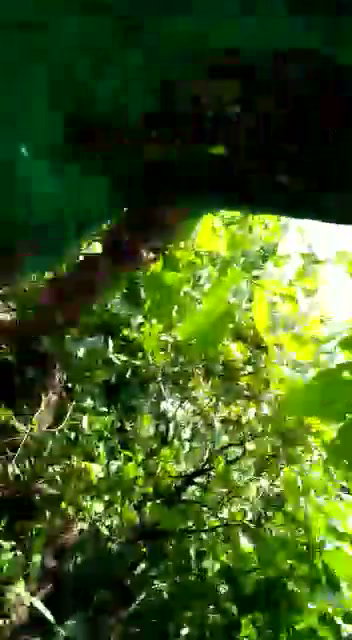 Frame 10