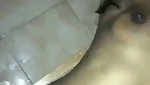 Dehati desi sex of local lovers