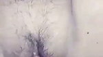 Desi soft chut sex   Indian finger fuck
