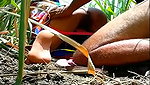 Field fucking   Outdoor sex video mms