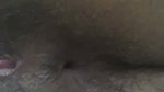 Hairy ass of Indian college girl mms