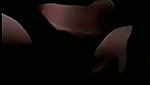 Indian girl fingering pussy   Desi leaks