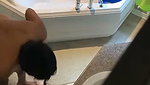Indian resort hidden cam leaks mms
