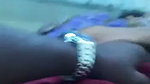 Local Telugu MILF fondling sex mms