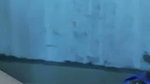 Local Telugu MILF fondling sex mms