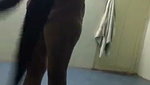 Office girl stripping and cleaning dick   Staff se