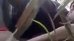 Sugarcane Field Sex of Village couple mms