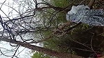 Telugu outdoor XXX mms