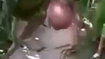 Village field sex   Fucking local desi outdoor mms