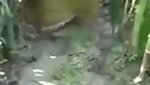 Village field sex   Fucking local desi outdoor mms