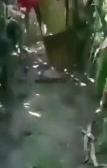 Frame 9