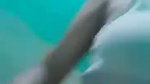 Watch Cute desi college girl   Nude selfie