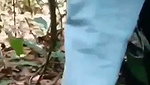 Desi hot college girl fuck hard outdoor