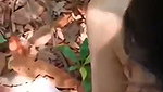 Desi hot college girl fuck hard outdoor