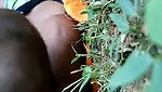 Sexy girl fuck with bf in field