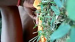 Sexy girl fuck with bf in field