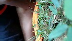Sexy girl fuck with bf in field