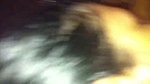 Sexy girl give Blowjob  enjoying