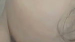 VID 31