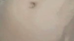 VID 31