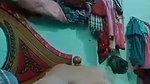 Desi Aunty showing her asshole