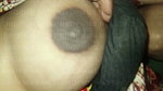 myl 19