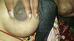 myl 19