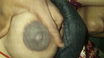 myl 19
