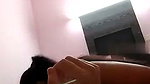 Sexy Babe give Blowjob  riding