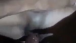 Sexy newly married girl fucking hard with ex lover