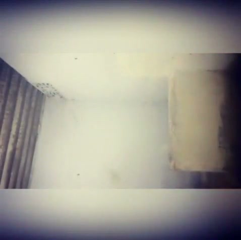 Frame 1