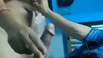 1000234616