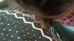 Sexy girl Blowjob  showing