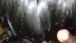 South Indian girl suck dick