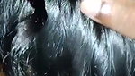 South Indian girl suck dick