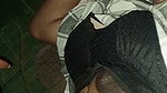myl 8