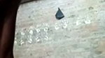1000235299